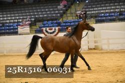 25R1516_06931 thumbnail