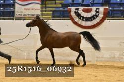 25R1516_06932 thumbnail