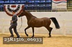 25R1516_06933 thumbnail