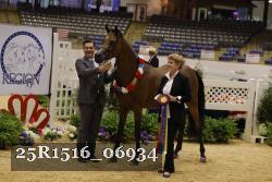 25R1516_06934 thumbnail