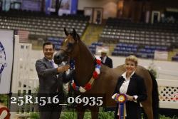 25R1516_06935 thumbnail