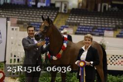 25R1516_06936 thumbnail