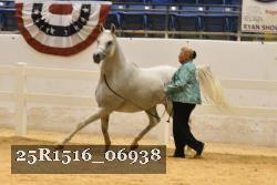 25R1516_06938 thumbnail