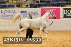 25R1516_06939 thumbnail