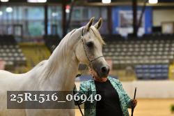 25R1516_06940 thumbnail