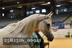 25R1516_06941 thumbnail