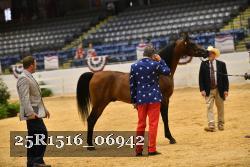 25R1516_06942 thumbnail