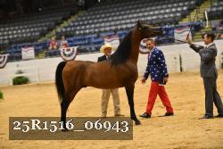 25R1516_06943 thumbnail