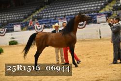25R1516_06944 thumbnail