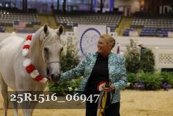 25R1516_06947 thumbnail