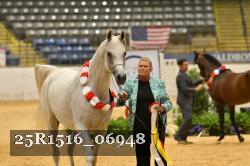 25R1516_06948 thumbnail