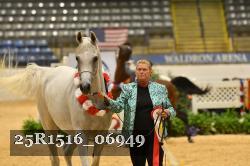 25R1516_06949 thumbnail