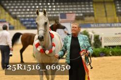 25R1516_06950 thumbnail