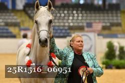 25R1516_06951 thumbnail