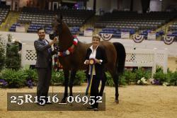 25R1516_06952 thumbnail