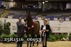 25R1516_06953 thumbnail