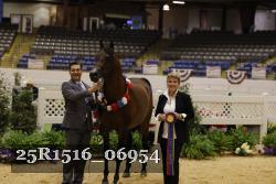 25R1516_06954 thumbnail