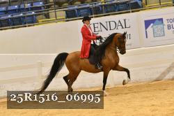 25R1516_06995 thumbnail