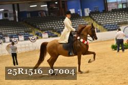 25R1516_07004 thumbnail