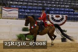 25R1516_07008 thumbnail