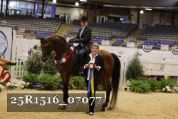25R1516_07077 thumbnail