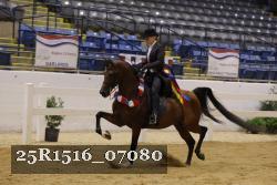 25R1516_07080 thumbnail