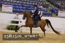 25R1516_07087 thumbnail
