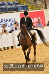 25R1516_07088 thumbnail