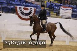25R1516_07090 thumbnail