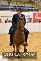25R1516_07099 thumbnail