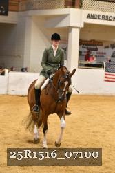 25R1516_07100 thumbnail