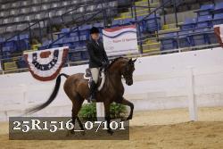 25R1516_07101 thumbnail