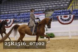25R1516_07102 thumbnail