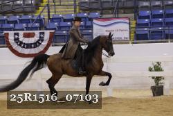 25R1516_07103 thumbnail