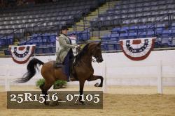 25R1516_07105 thumbnail
