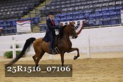 25R1516_07106 thumbnail