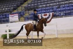 25R1516_07110 thumbnail
