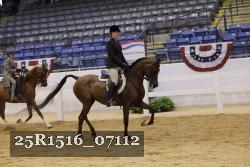25R1516_07112 thumbnail
