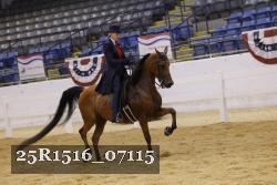 25R1516_07115 thumbnail