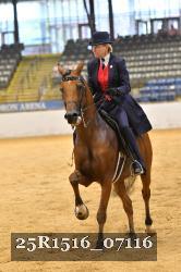 25R1516_07116 thumbnail