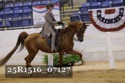 25R1516_07127 thumbnail