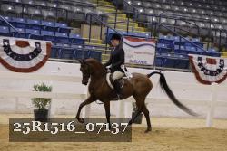 25R1516_07137 thumbnail