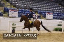 25R1516_07139 thumbnail