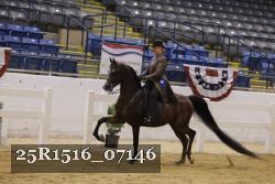 25R1516_07146 thumbnail