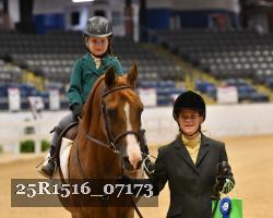 25R1516_07173 thumbnail