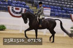 25R1516_07176 thumbnail