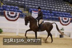 25R1516_07177 thumbnail