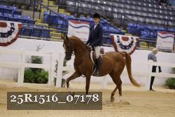 25R1516_07178 thumbnail