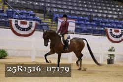 25R1516_07179 thumbnail