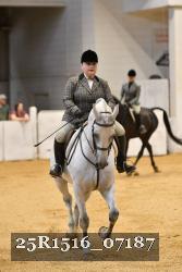 25R1516_07187 thumbnail